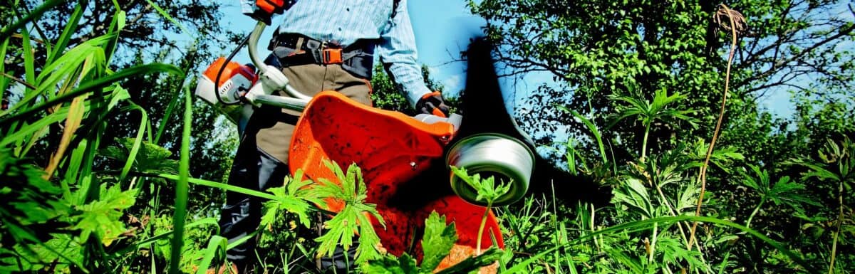 Hoe kun je starten met een job als tuinier of in de tuinbouw?