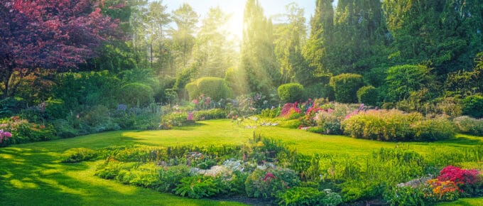 Tuin lenteklaar maken